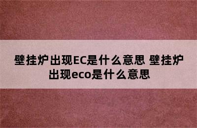 壁挂炉出现EC是什么意思 壁挂炉出现eco是什么意思